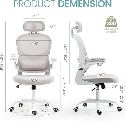 Yilaywain Ergonomic Office Chair, Home Office Desk Chair with Adjustable Headrest, High Back Computer Chair with Armrests and Lumbar Support for Home Office Study Room, Black & Gray (Grey)