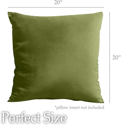 lalaLOOM Velvet Throw Pillow Covers, Set of 2, 20x20 Decorative Square Pillows Home Decor, Soft Accent Cases, Silky Machine Washable Pillowcases for Sofa, Couch, Bedroom, Living Room, Moss Green