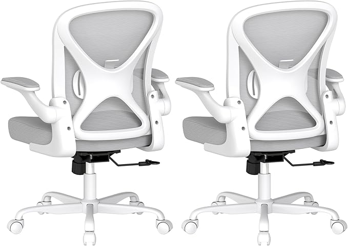 Ergonomic Office Chair Set of 2 with Adjustable Lumbar Support, Mesh Home Office Desk Chair with Wheels and Flip-up Arms, Grey