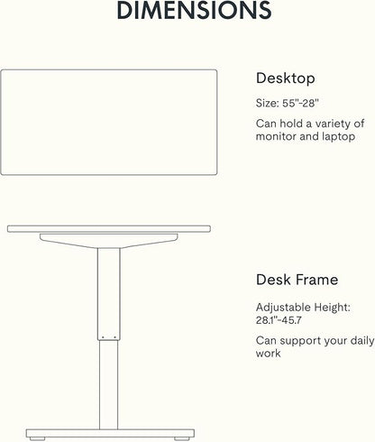 FLEXISPOT EN1 Whole Piece Standing Desk 55 x 28 Inches Stand Up Desk for Workstation and Home Office (Black Frame + Gray Wood Top, 2 Packages)