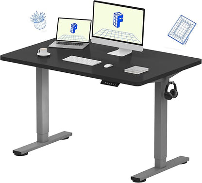 FLEXISPOT EN1 One-Piece Electric Height Adjustable Desk, 48 x 30 Inches Standing Desk Stand Up Desk Workstation (Silver Frame + 48 in Black Top, 2 Packages)