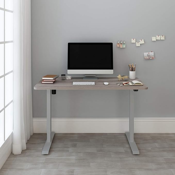 FLEXISPOT EN1 One-Piece Standing Desk 48 x 30 Inches Height Adjustable Electric Desk (Silver Frame + Grey Wood Grain Top, 2 Packages)