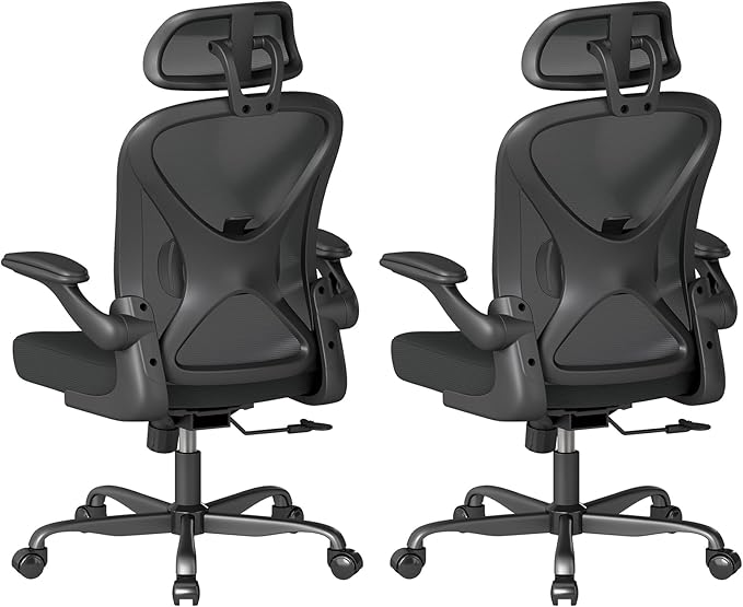 ZZH Ergonomic Office Chair Set of 2 with Adjustable Lumbar Support and Headrest, Mesh Home Office Desk Chair with Wheels and Flip-up Arms, Black
