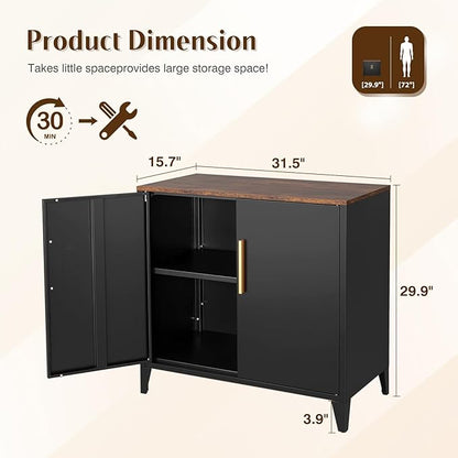 Letaya Storage Cabinet with 2 Doors,Adjustable Shelf, 16" Dx 32" Wx30 H Inches,Metal Small Buffet Sideboard Cabinet for Entryway, Kitchen (Black)