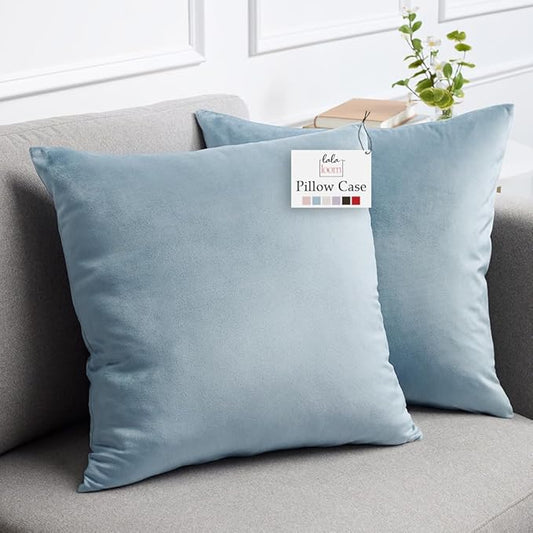 lalaLOOM Velvet Throw Pillow Covers, Set of 2, 20x20 Decorative Square Pillows Home Decor, Soft Accent Cases, Silky Machine Washable Pillowcases for Sofa, Couch, Bedroom, Living Room, Light Blue