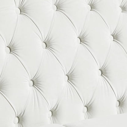 LEVNARY Chesterfield Loveseat Velvet, Upholstered Sofa with Button-Tufted Back, Mid-Century Modern Sofa with Solid Wood Legs, 2 Seater Couches for Living Room (White)