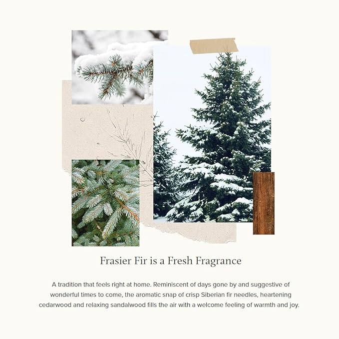 Thymes Frasier Fir Candle – Pine Needle Design – Holiday Scented Candle – Notes of Crisp Siberian Fir, Cedarwood & Sandalwood – Luxury Home Fragrance Gifts for Women & Men – Gold (Gilded, 6.5 oz)