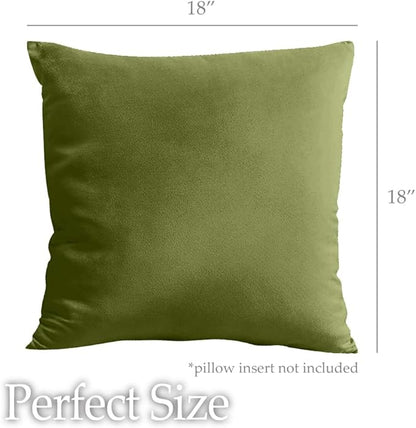 lalaLOOM Velvet Throw Pillow Covers, Set of 2, 18x18 Decorative Square Pillows Home Decor, Soft Accent Cases, Silky Machine Washable Pillowcases for Sofa, Couch, Bedroom, Living Room, Moss Green