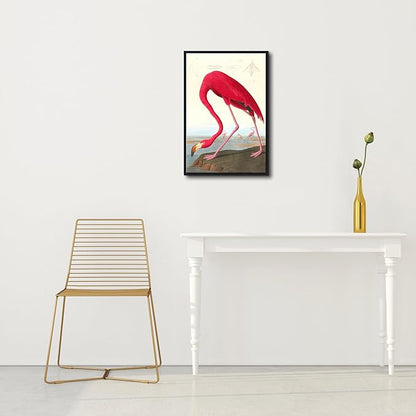 Wieco Art Framed Canvas Print Wall Art American flamingo by John James Audubon The Birds of America Reproductions Art Print for Living Room Bedroom Home Kitchen Decorations