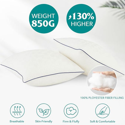 Oubonun 20x20 Pillow Inserts Set of 2 - Square Decorative Throw Pillows for Couch Bed Sofa Living Room Down Alternative Polyester Filling 20 Inch Insert(Beige)