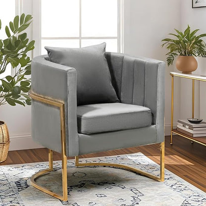 Velvet Modern Accent Chairs Set of 2, Upholstered Barrel Armchair Mid Century with Pillow for Living Room, Comfy Single Vanity Chair with Metal Gold Legs for Bedroom, Grey
