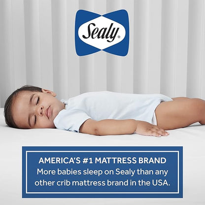 Sealy Baby Flex Cool 2 Stage Breathable Crib Mattress with Toddler Bed Fit, Waterproof & Airy Cotton Cover, 204 Premium Coils, GREENGUARD Gold Certified, Safety & Quality Tested, Made in USA, 52x28"