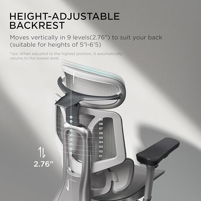Hbada E3 Pro Ergonomic Office Chair, Big and Tall Office Chair - with 3-Zone Dynamic Lumbar Support, 4D Adjustable Headrest, 6D Adjustable Armrests, Swivel, Grey(No Footrest)