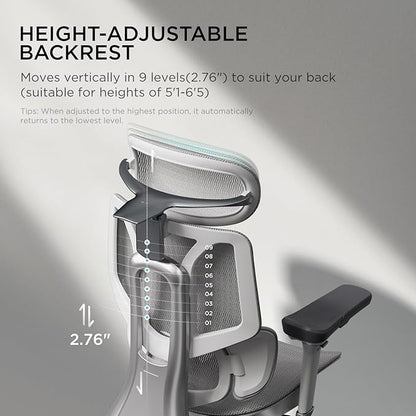 Hbada E3 Pro Ergonomic Office Chair, Big and Tall Office Chair - with 3-Zone Dynamic Lumbar Support, 4D Adjustable Headrest, 6D Adjustable Armrests, Swivel, Grey(No Footrest)