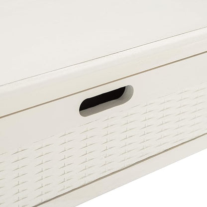 SAFAVIEH Home Collection Landers Distressed White 2-Drawer Console Table CNS5710A