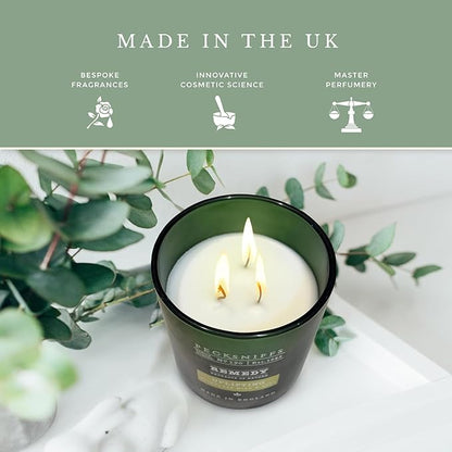 Pecksniff's Remedy Uplifting Candle - 3 Wick, 515g, 18.16 oz, Long-Lasting Relaxing Ambiance - with Earthy & Fresh Green Fragrance for Home Comfort