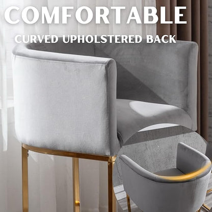 Contemporary Grey Velvet Bar Stools Set of 2, 24" Upholstered Fabric Counter Height Barstools Kitchen Counter Island Stools with Golden Metal Base