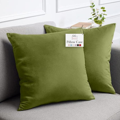 lalaLOOM Velvet Throw Pillow Covers, Set of 2, 24x24 Decorative Square Pillows Home Decor, Soft Accent Cases, Silky Machine Washable Pillowcases for Sofa, Couch, Bedroom, Living Room, Moss Green