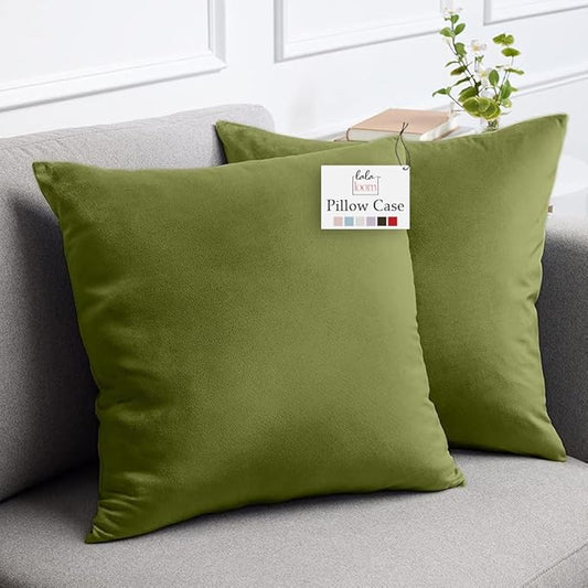 lalaLOOM Velvet Throw Pillow Covers, Set of 2, 20x20 Decorative Square Pillows Home Decor, Soft Accent Cases, Silky Machine Washable Pillowcases for Sofa, Couch, Bedroom, Living Room, Moss Green
