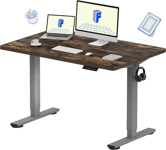 FLEXISPOT EN1 One-Piece Standing Desk 48 x 30 Inches Height Adjustable Electric Desk (Silver Frame + Rustic Top, 2 Packages)