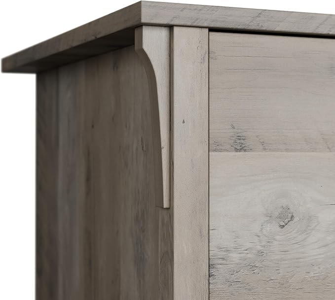Bush Furniture Salinas 2 Drawer Lateral File Cabinet in Driftwood Gray, Home Office Storage Solution, Organizer with Drawers for Workspace, Filing Unit