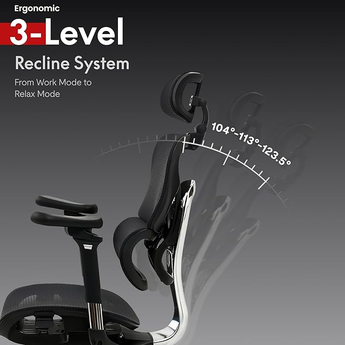 FLEXISPOT ErgoX Max Ergonomic Office Chair with footrest Black - Aluminum Alloy Frame & Base, 661 lb Capacity, 5D Armrests, 4D Adaptive Lumbar & 4D Headrest