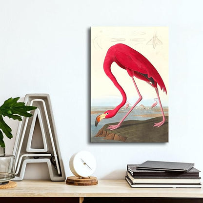 Wieco Art Canvas Print Wall Art American flamingo by John James Audubon The Birds of America Reproductions Art Print Picture Artwork for Living Room Bedroom Home Kitchen Decorations