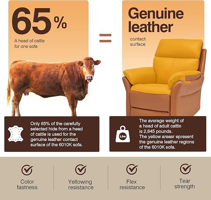 AIRSKY Genuine Leather Recliner Chair, Top Grain Leather, Italian Water-Washing Process, Wall Hugger Recliner Chair, for Living Room, Theater Seating, Bedroom. R1, Orangish Yellow
