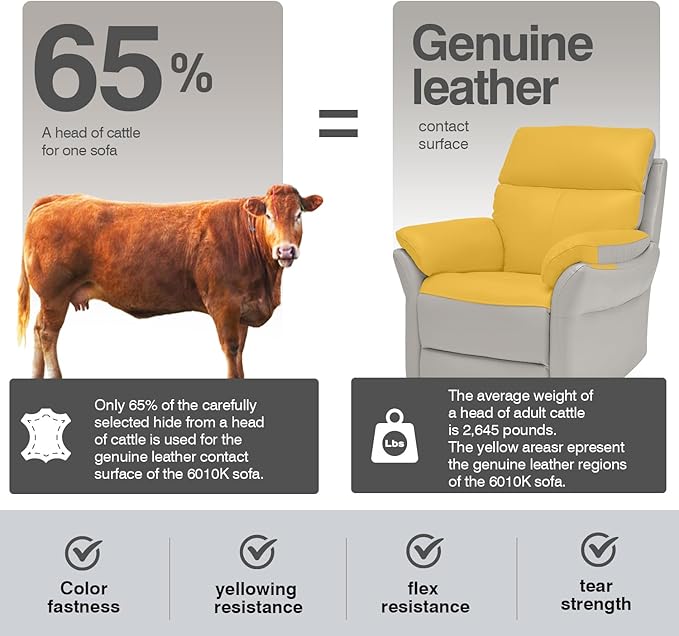 AIRSKY Genuine Leather Recliner Chair, Top Grain Leather, Italian Water-Washing Process, Living Room Chair with Lumbar Support,for Theater Seating, Bedroom. R1, Grey