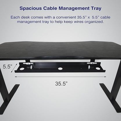 ApexDesk Elite Pro Series 60" x 27" Electric Height Adjustable Stand up Desk, Sit Stand Home Office Desk, Computer Desk - Curved Bamboo