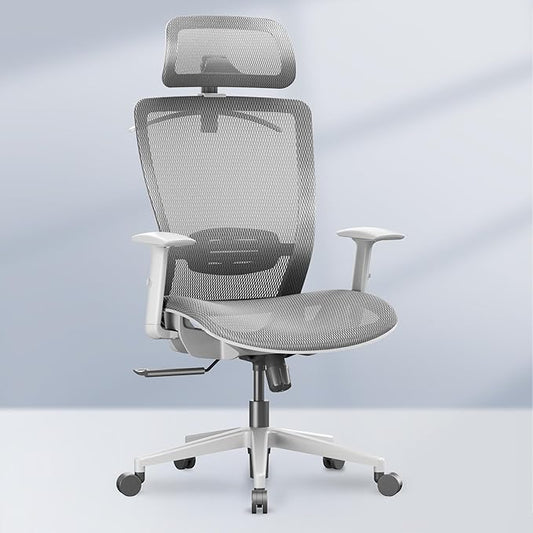 FLEXISPOT OC3 Air Ergonomic Office Chair High Back Computer Chair with Adjustable Lumbar Support/Armrest/, Breathable Mesh Seat Cushion Backrest, Chairs for Home Office Gaming Working, Light Gray