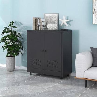 Metal Storage Cabinet with 2 Doors and Adjustable Shelf, Steel Accent Sideboard Buffet Cabinet for Home, Office, Garage, Entryway, Living Room, Kitchen Pantry and Dining Room (Black)