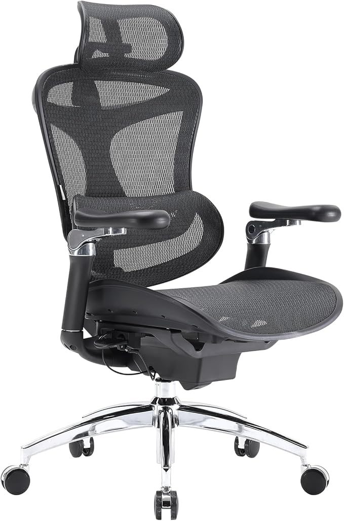SIHOO Doro C300 Pro Ergonomic Office Chair with Ultra-Soft 6D Armrests, Dynamic Lumbar Support, Seat Depth Adjustment, Adjustable Backrest, Big and Tall Desk Chair for Home Office (Black)