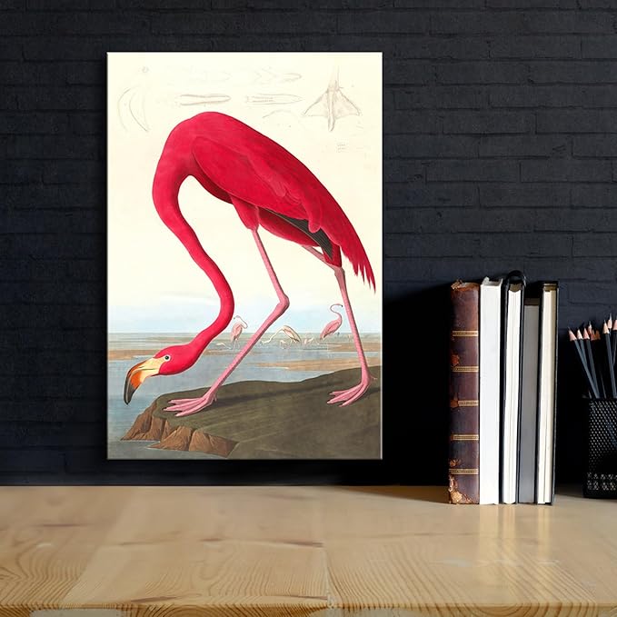 Wieco Art Canvas Print Wall Art American flamingo by John James Audubon The Birds of America Reproductions Art Print Picture Artwork for Living Room Bedroom Home Kitchen Decorations