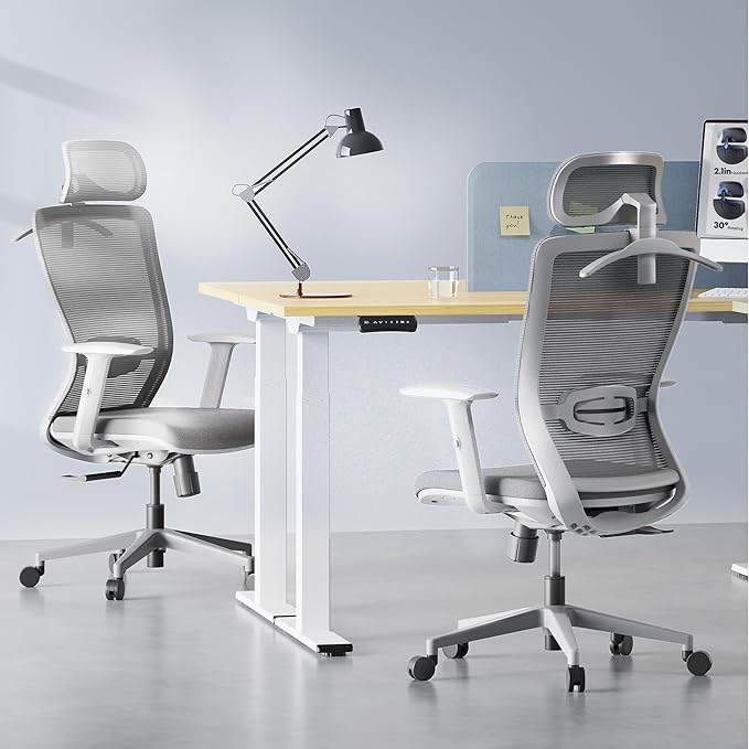 FLEXISPOT OC3 Cloud Ergonomic Office Chair, Mesh Back Computer Chair, Home Office Desk Chairs with Adjustable Lumbar Support/3D Headrest/Reliable Base, Elastic Foam Seat, Light Gray