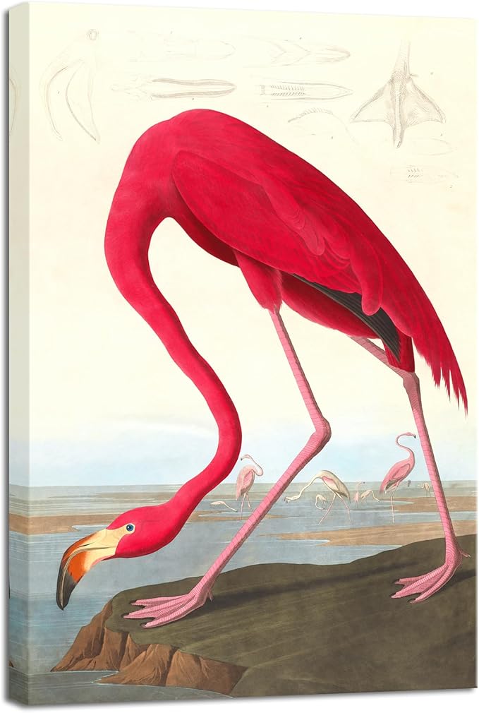 Wieco Art Canvas Print Wall Art American flamingo by John James Audubon The Birds of America Reproductions Art Print Picture Artwork for Living Room Bedroom Home Kitchen Decorations