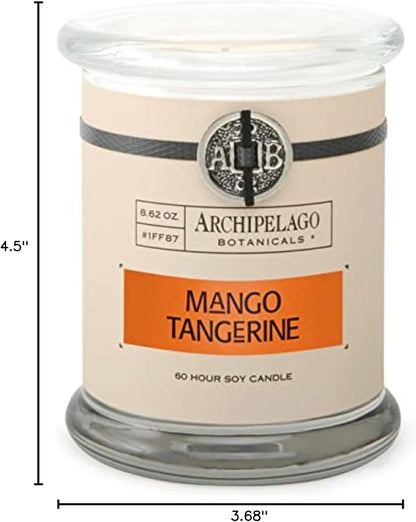 Archipelago Botanicals Scented Candle Hand-Poured Premium Wax, Burns Approx. 60 Hours, Mango, Tangerine, Soy Candle in Glass Jar, 4.5 Inch, 8.6 oz