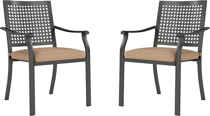 PHI VILLA Metal Outdoor Dining Chairs Set of 2 - Stackable Black Patio Chairs, 300lb Capacity (Beehive)