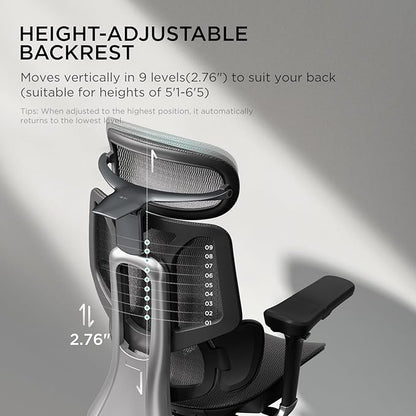 Hbada E3 Pro Ergonomic Office Chair, Big and Tall Office Chair - with 3-Zone Dynamic Lumbar Support, 4D Adjustable Headrest, 6D Adjustable Armrests, Swivel, Black(No Footrest)