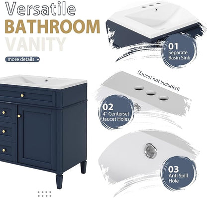 30" Bathroom Vanity with Matching Medicine Cabinet, Modern Sink Storage Cabinet with Drawers, Soft Closing Doors and Shelf, Bathroom Vanities with Sink & Mirror