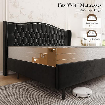 Belffin King Bed Frame and Headboard, Luxury Upholstered Velvet Platform Bed with Wingback, Button Tufted & Nailhead Trim, Anti-Slide Tall Footboard, No Box Spring Needed, Noise-Free, Black