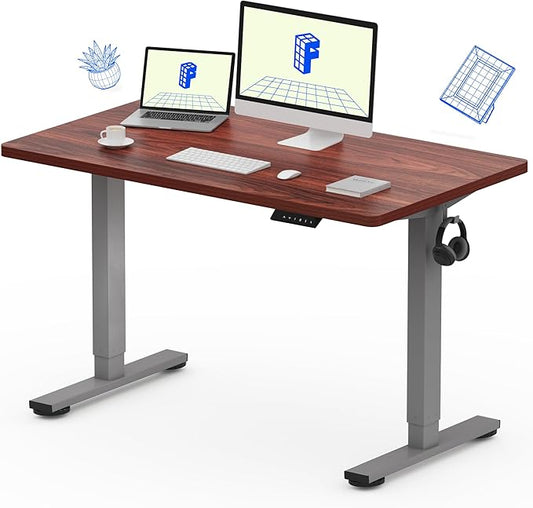 FLEXISPOT EN1 One-Piece Standing Desk, 48 x 24 Inches Electric Height Adjustable Desk for Home Office (Silver Frame + 48 in Mahogany Top, 2 Packages)