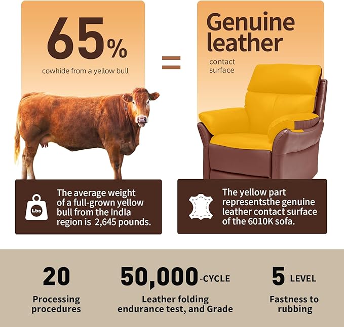 AIRSKY Genuine Leather Recliner Chair, Top Grain Leather, Italian Water-Washing Process, Recliner Chairs for Adults, for Living Room, Theater Seating, Bedroom. R1, Reddish Brown