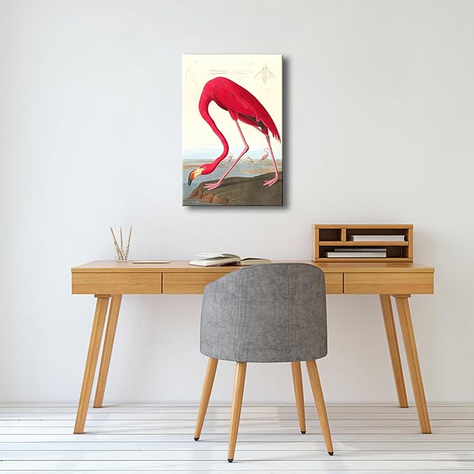 Wieco Art Canvas Print Wall Art American flamingo by John James Audubon The Birds of America Reproductions Art Print Picture Artwork for Living Room Bedroom Home Kitchen Decorations
