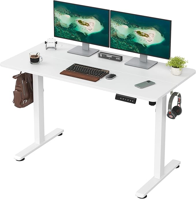 Casaphoria 47 x 24 inches Electric Standing Desk, Sit to Stand Desk with Memory Height Adjustment, Home Office Computer Desk for Writing and Games, White