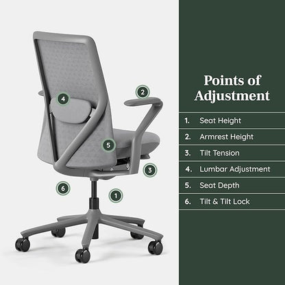 Branch Verve Chair - High Performance Executive Office Chair with Contoured Seat Back and Adjustable Lumbar Rest - High Density Foam Cushion with Aluminum Base - Up to 275 lbs - Lunar