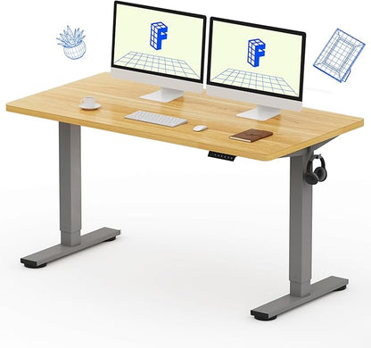 FLEXISPOT EN1 One-Piece Electric Standing Desk, 55 x 28 inch Stand Up Desk for Home Office (Silver Frame + 55" Natural Top, 2 Packages)