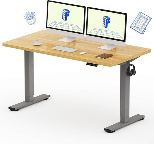 FLEXISPOT EN1 One-Piece Electric Standing Desk, 55 x 28 inch Stand Up Desk for Home Office (Silver Frame + 55" Natural Top, 2 Packages)
