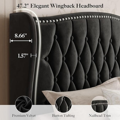 Belffin Queen Bed Frame with Headboard, Luxury Upholstered Velvet Platform Bed with Wingback, Button Tufted & Nailhead Trim, Anti-Slide Tall Footboard, No Box Spring Needed, Noise-Free, Black