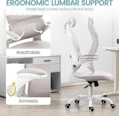 Yilaywain Ergonomic Office Chair, Home Office Desk Chair with Adjustable Headrest, High Back Computer Chair with Armrests and Lumbar Support for Home Office Study Room, Black & Gray (Grey)